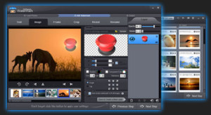 Watermark softwares